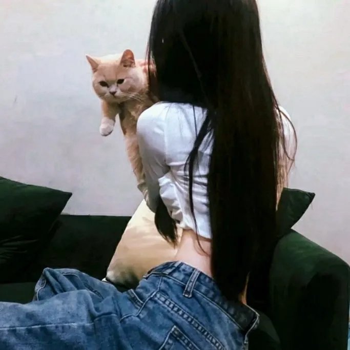我的人格合租屋